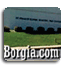 Borgia School